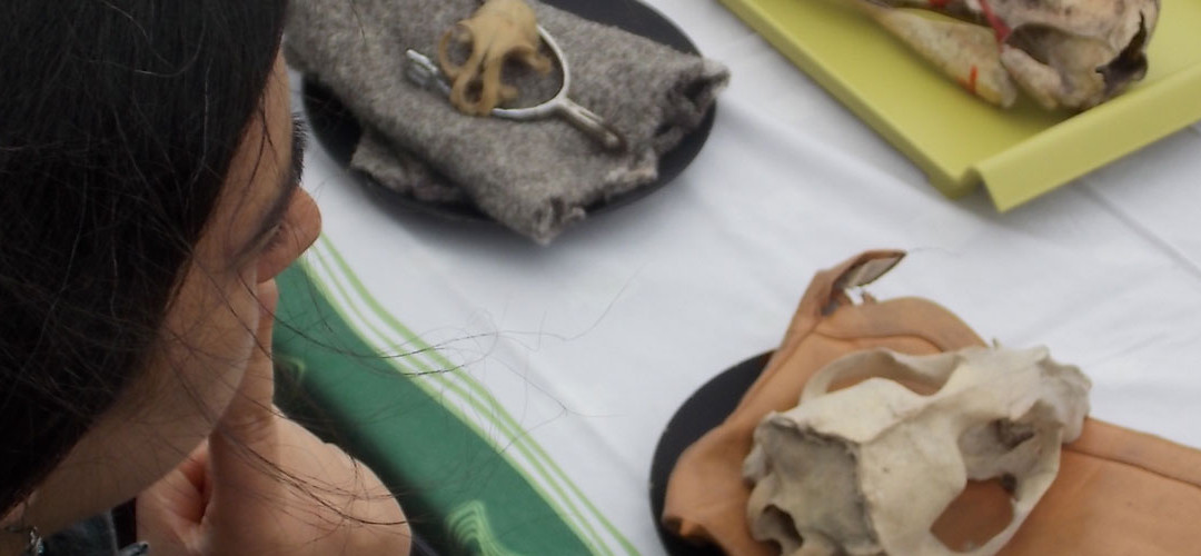 Día Internacional del Veganismo