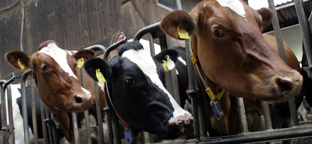 Una temporada en el infierno