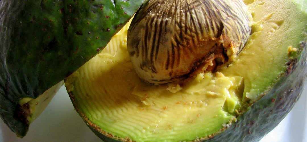 Primeros pasos para una dieta vegana