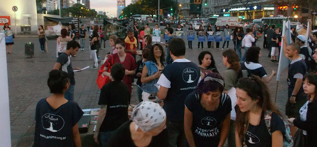Día del veganismo – Video