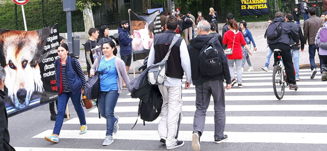 Día internacional del veganismo 2015