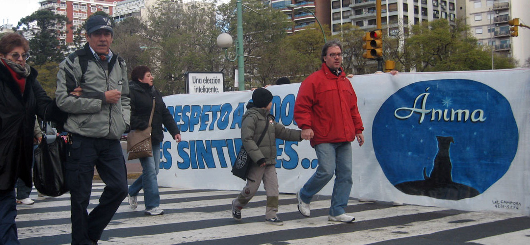 Animales sin hogar y discriminación arbitraria