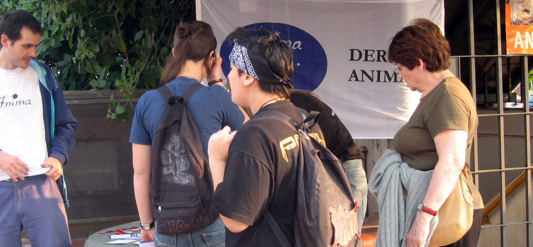 Animales sin hogar y derechos animales