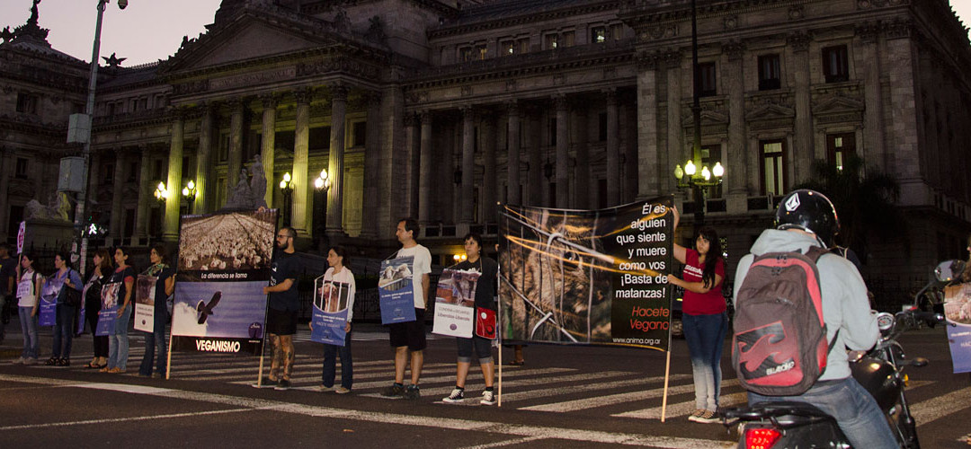 Concentración #26F