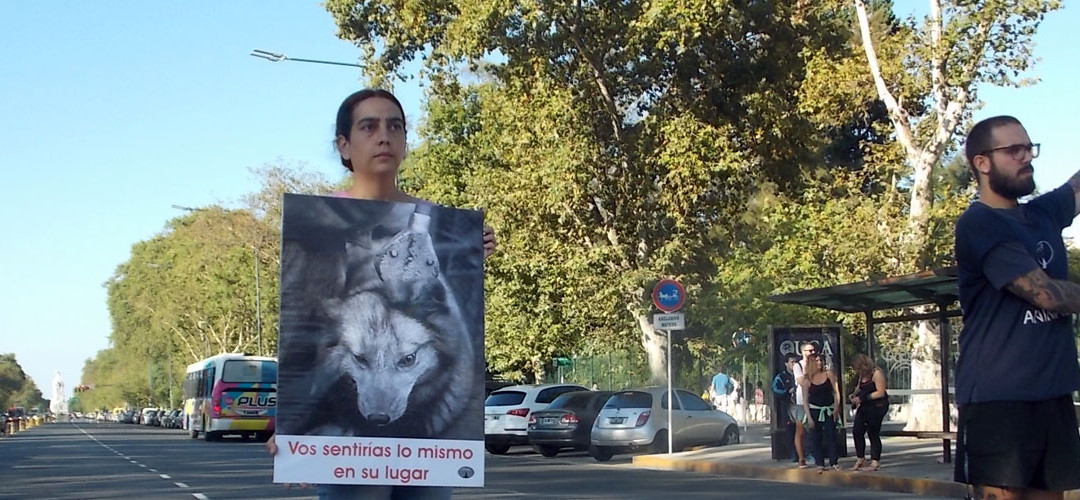 Liberalos – Liberate