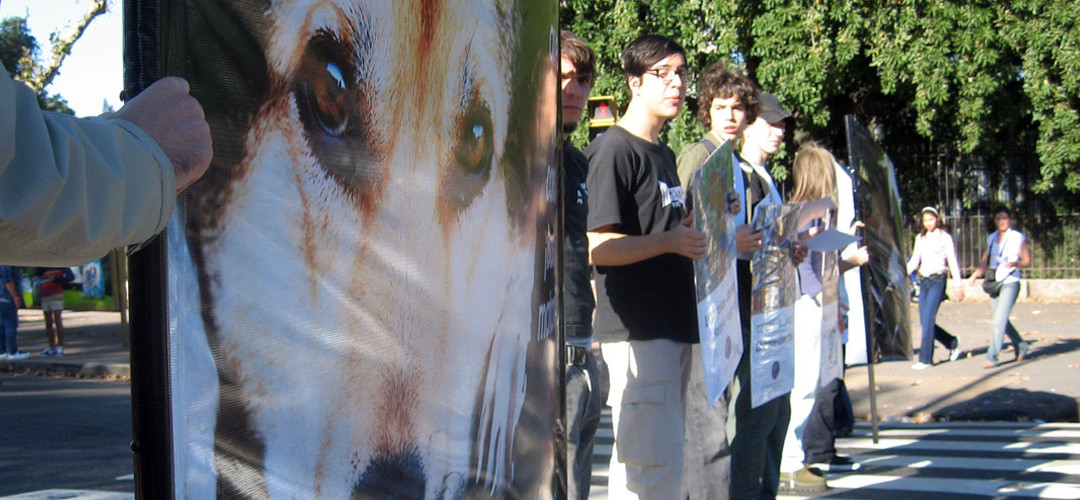 Día del Animal. ¿Quiénes van a festejarlo?