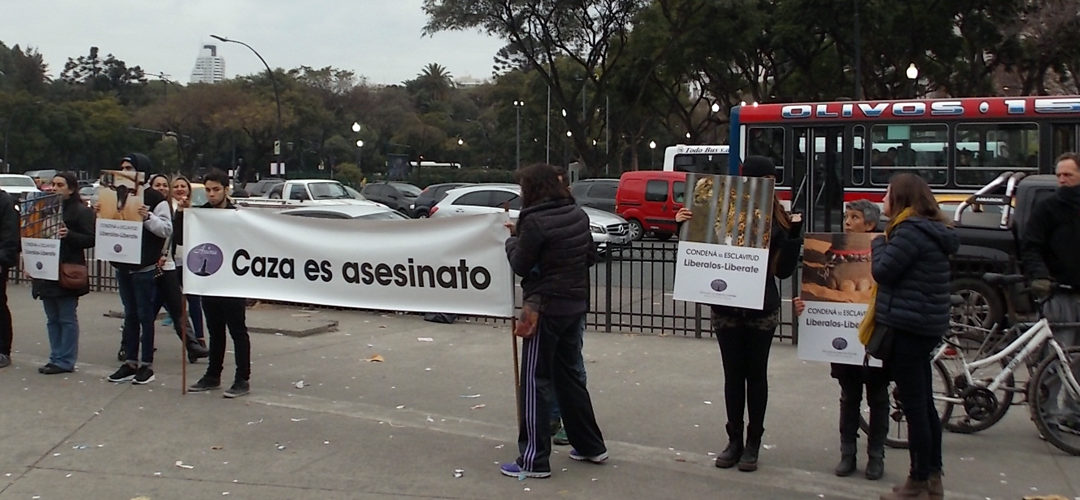 Liberalos – Liberate