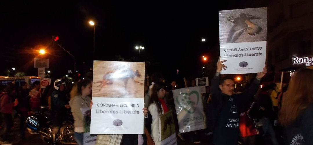 Concentración y marcha 10A