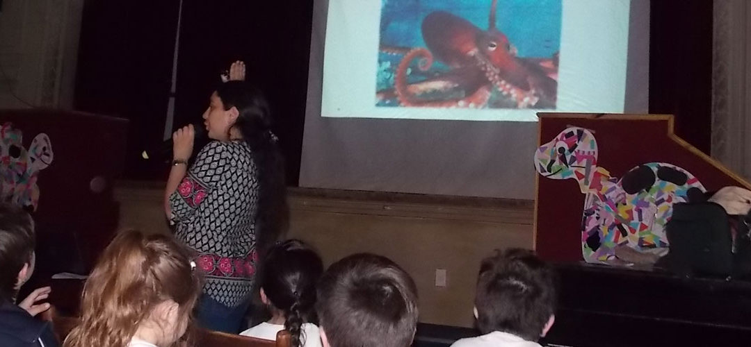 Vos, yo y ellos: los animales